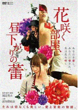 电影长片分区画面